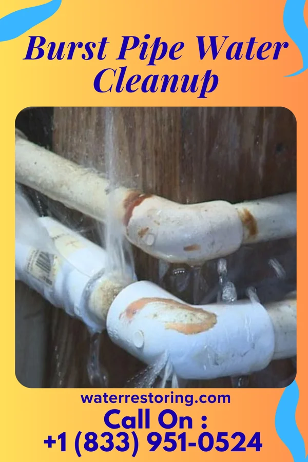 Burst Pipe Water Cleanup in Sac City, IA