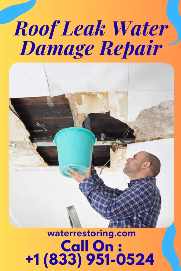 Roof Leak Water Damage Repair in Sac City, IA