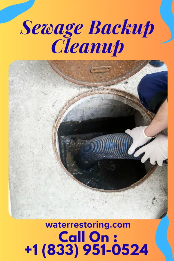 Sewage Backup Cleanup in Sac City, IA