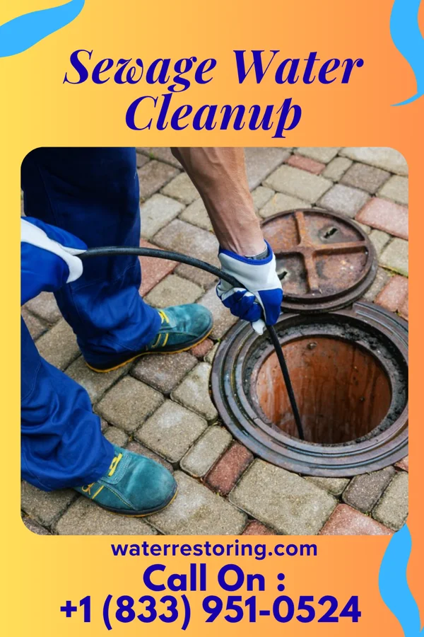 Sewage Water Cleanup in Sac City, IA