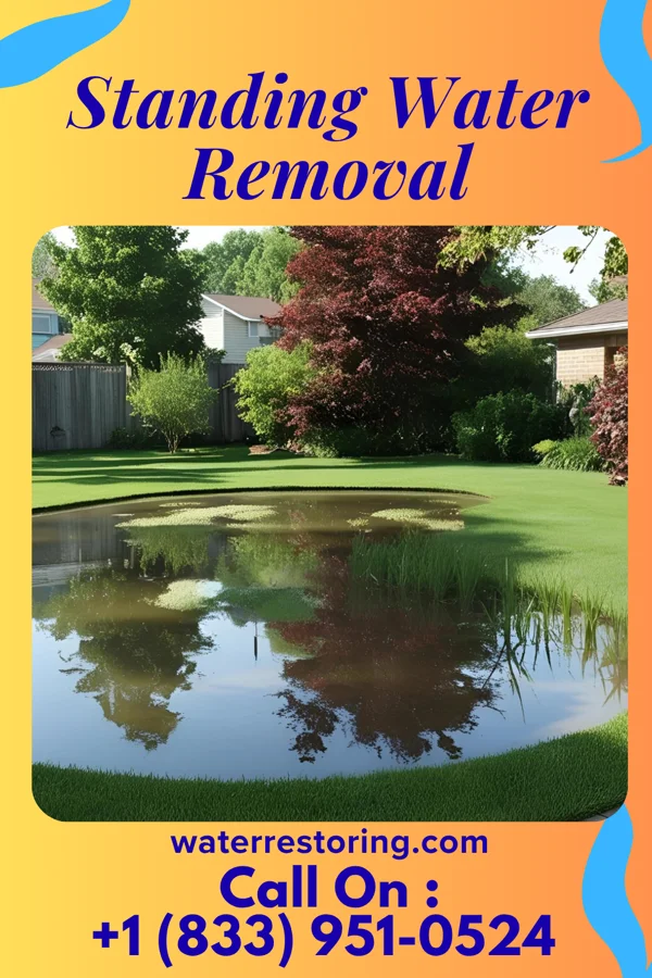 Standing Water Removal in Sac City, IA